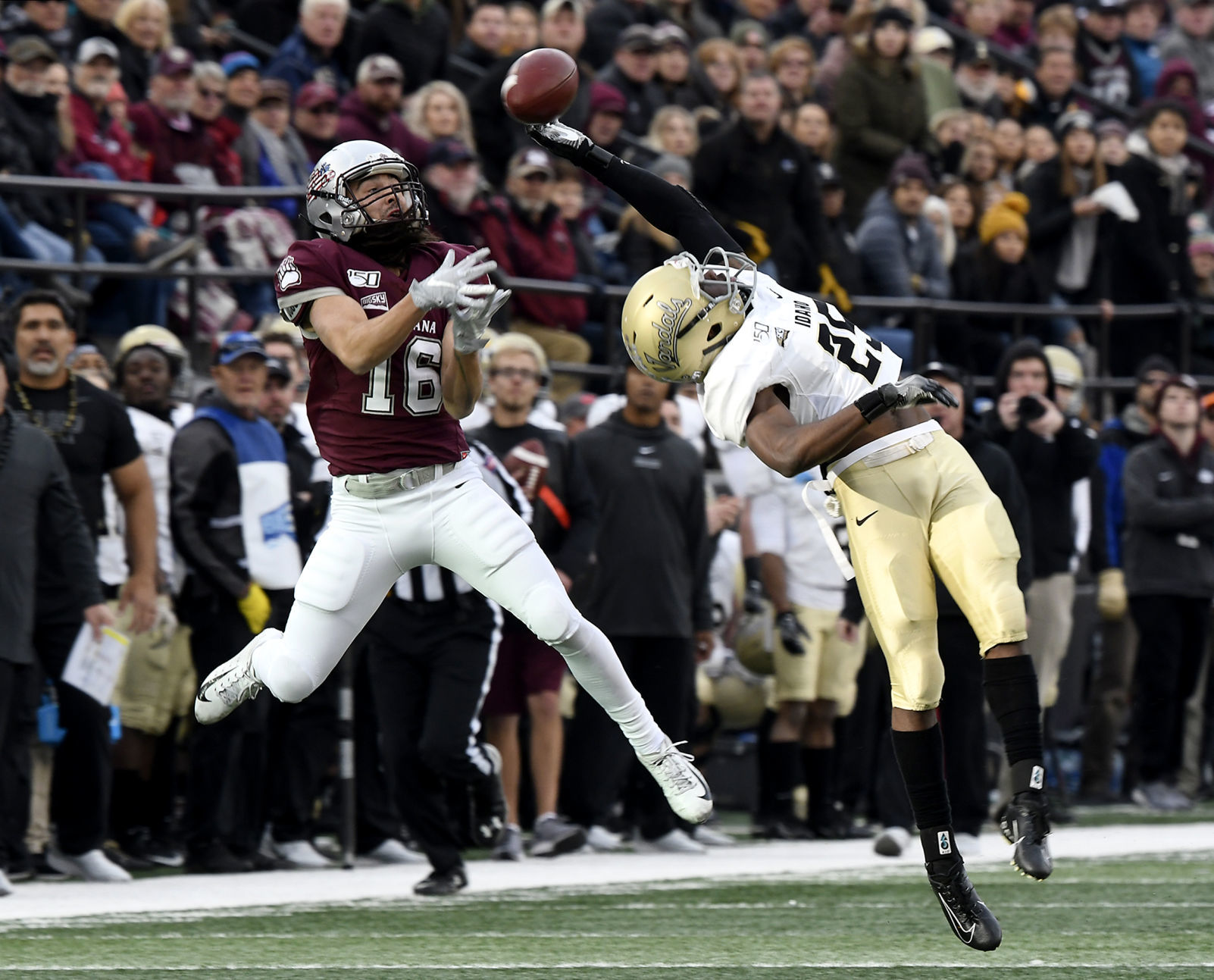 Montana vs Idaho Football 11.jpg